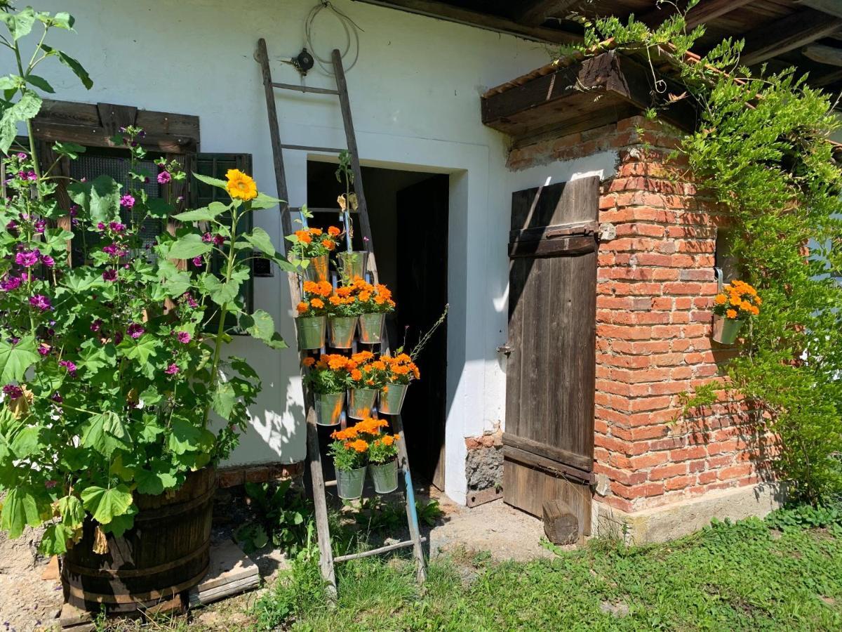 Kellerstoeckl Am Veganen Bio-Lebenshof "Varm - Die Vegane Farm" Sulb Exteriör bild