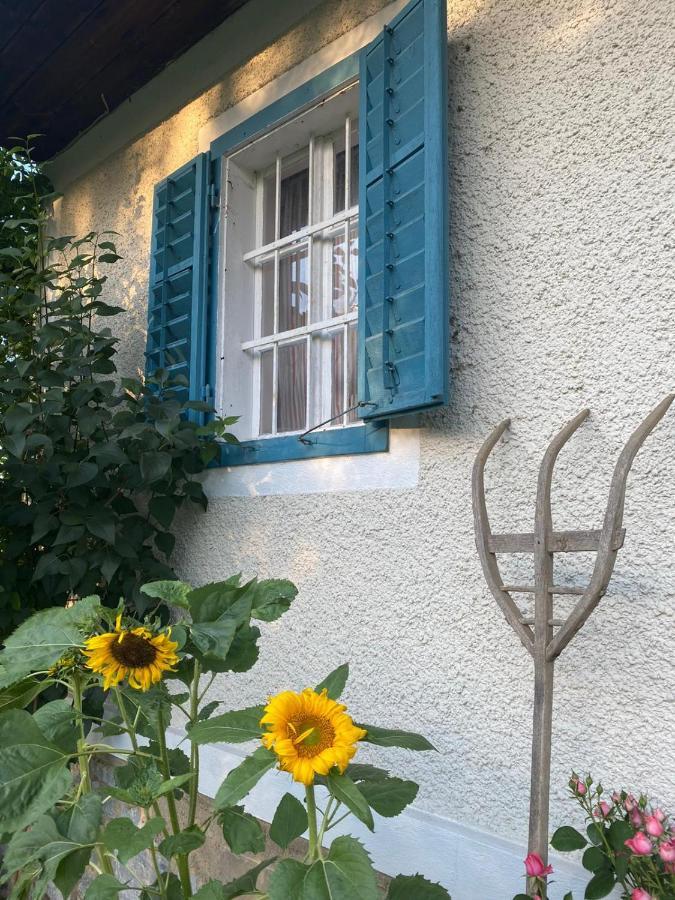 Kellerstoeckl Am Veganen Bio-Lebenshof "Varm - Die Vegane Farm" Sulb Exteriör bild