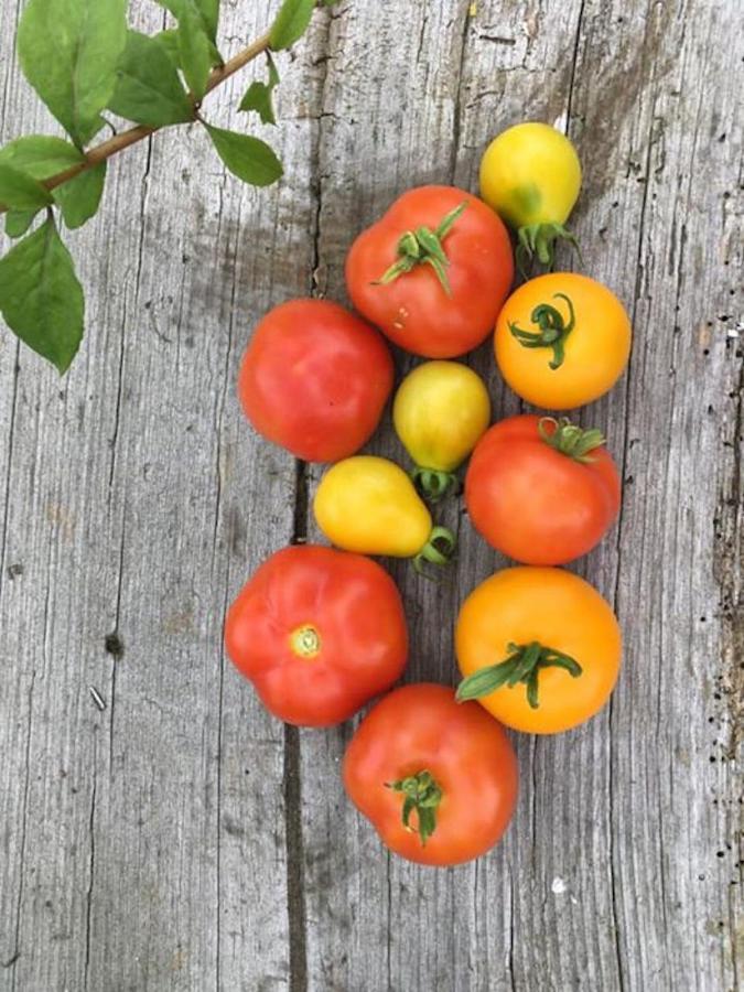 Kellerstoeckl Am Veganen Bio-Lebenshof "Varm - Die Vegane Farm" Sulb Exteriör bild