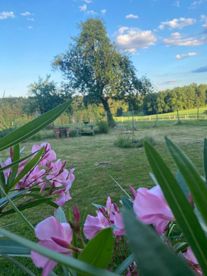 Kellerstoeckl Am Veganen Bio-Lebenshof "Varm - Die Vegane Farm" Sulb Exteriör bild